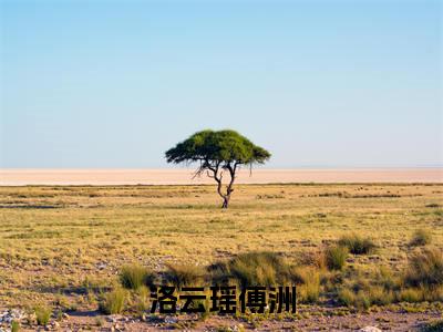 洛云瑶傅洲老书虫推荐小说 洛云瑶傅洲热门小说最新章节阅读