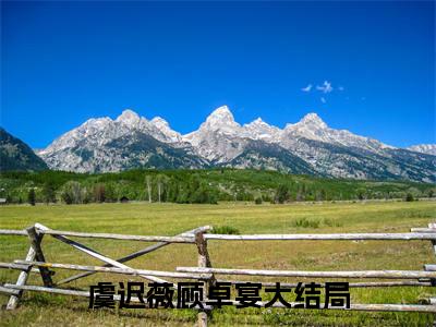 虞迟薇顾卓宴小说免费阅读-（虞迟薇顾卓宴）言情小说讲的是什么