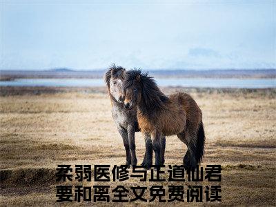 （林怜儿南宫曜）是什么小说-柔弱医修与正道仙君要和离全文免费阅读无弹窗大结局（林怜儿南宫曜）最新章节列表_笔趣阁