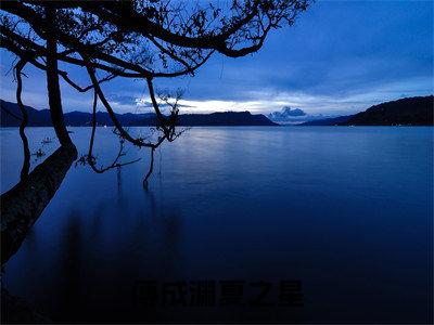 抖音热推高点击小说（傅成渊夏之星）在线阅读-傅成渊夏之星无广告阅读