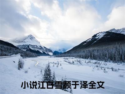 等一场初雪(江白雪顾于泽)小说全文免费阅读无弹窗大结局_等一场初雪最新章节列表