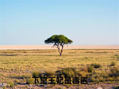 下堂王妃是毒医（风澜衣墨祈渊）完整版小说阅读_风澜衣墨祈渊全文免费阅读笔趣阁（下堂王妃是毒医）