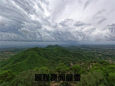 顾程磊闻庭雪小说(顾程磊闻庭雪)全文免费阅读无弹窗大结局_顾程磊闻庭雪小说免费阅读无弹窗最新章节列表_笔趣阁