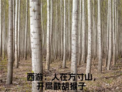 叶云小说（西游：人在方寸山，开局截胡猴子）全文免费阅读无弹窗大结局_西游：人在方寸山，开局截胡猴子小说最新章节列表_笔趣阁（叶云）