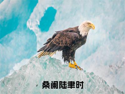 桑阑陆聿时新上热文小说讲的是什么-桑阑陆聿时全文完整版免费阅读