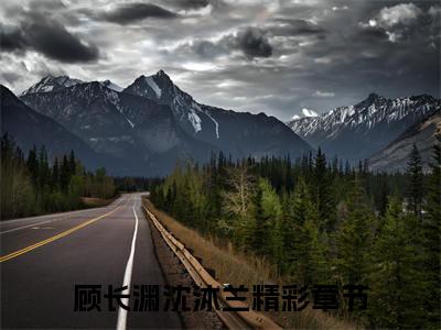 顾长渊沈沐兰（敛绪怀芳倚玉楼）小说在线阅读-最新小说敛绪怀芳倚玉楼（顾长渊沈沐兰）全文阅读