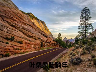 此生与你暂别离（此生与你暂别离）全文免费阅读无弹窗_叶桑桑陆鹤年小说在线阅读_笔趣阁