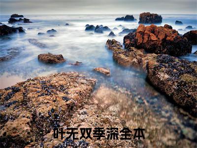 叶无双季深（叶无双季深）小说第20章第3节讲述的是什么？叶无双季深小说在线阅读