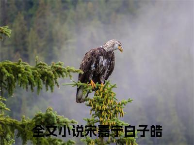 宋嘉宁白子皓热门小说全文免费阅读无弹窗大结局-宋嘉宁白子皓免费阅读大结局