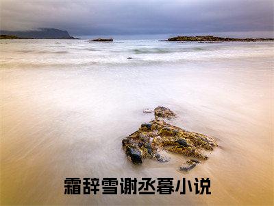 霜辞雪谢丞暮(霜辞雪谢丞暮)全文免费阅读无弹窗大结局_霜辞雪谢丞暮最新章节列表_笔趣阁（霜辞雪谢丞暮）