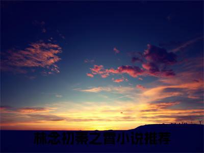 林念初秦之霄（林念初秦之霄）全文免费阅读无弹窗大结局_(林念初秦之霄免费阅读)林念初秦之霄无弹窗最新章节列表_笔趣阁（林念初秦之霄）