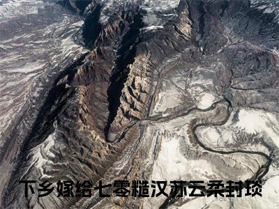 下乡嫁给七零糙汉小说(苏云柔封琰)全文免费阅读无弹窗大结局_(下乡嫁给七零糙汉免费阅读全文大结局)最新章节列表_笔趣阁（苏云柔封琰）