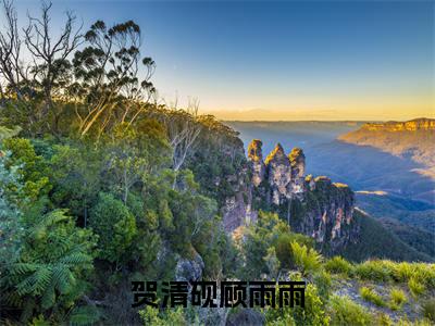 贺清砚顾雨雨(贺清砚顾雨雨)全文免费阅读无弹窗大结局_(贺清砚顾雨雨免费阅读全文大结局)最新章节列表_笔趣阁（贺清砚顾雨雨）