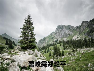 曹峻霖郑艳平全文免费阅读无弹窗大结局-曹峻霖郑艳平 全文全章节免费阅读