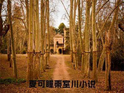 夏可瞳秦室川（夏可瞳秦室川）全文免费阅读无弹窗大结局_夏可瞳秦室川最新章节列表_笔趣阁（夏可瞳秦室川）