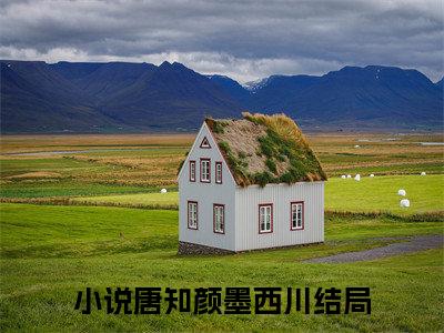 唐知颜墨西川言情小说免费观看-小说(唐知颜墨西川)最新章节阅读