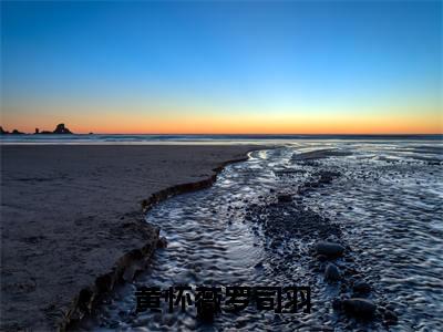 黄怀薇罗司羽（黄怀薇罗司羽）全文免费阅读无弹窗大结局_黄怀薇罗司羽最新章节列表_