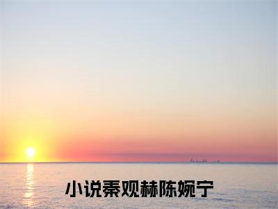 微小说（秦观赫陈婉宁）-（秦观赫陈婉宁）全文免费阅读