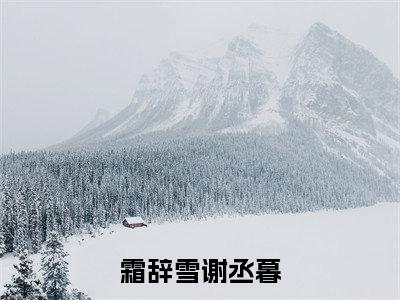 霜辞雪谢丞暮（霜辞雪谢丞暮）全文免费阅读无弹窗大结局_霜辞雪谢丞暮免费阅读最新章节列表_笔趣阁