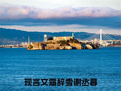 霜辞雪谢丞暮小说全文(霜辞雪谢丞暮)全文免费阅读无弹窗大结局_ 霜辞雪谢丞暮全文免费阅读最新章节列表