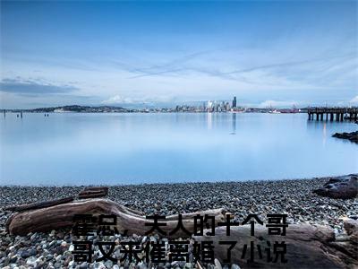 赵西西霍寒徽（霍总，夫人的十个哥哥又来催离婚了）全文免费阅读无弹窗大结局_赵西西霍寒徽在线阅读笔趣阁