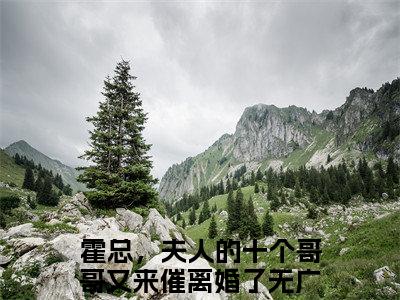 赵西西霍寒徽（霍总，夫人的十个哥哥又来催离婚了小说）全文免费阅读无弹窗大结局_赵西西霍寒徽完整版小说阅读（霍总，夫人的十个哥哥又来催离婚了小说）