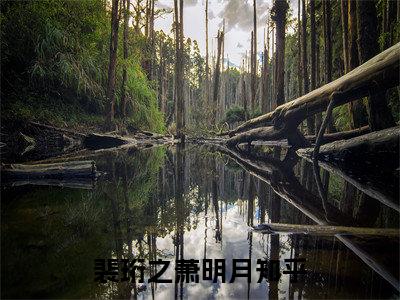 裴珩之萧明月（裴珩之萧明月）全文完整版免费阅读_（裴珩之萧明月全文免费阅读）最新章节列表