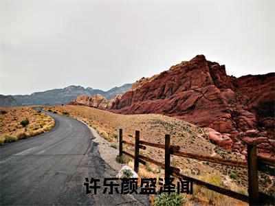 2023热点小说许乐颜盛泽闻，许乐颜盛泽闻免费章节阅读