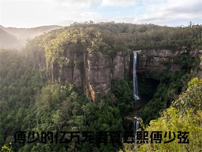 傅少的亿万宠妻(夏云熙傅少弦)全文在线阅读无弹窗_傅少的亿万宠妻小说全文大结局