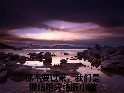 陆墨尘苏小影（你不要过来，我们是假结婚）全文免费阅读无弹窗_ (你不要过来，我们是假结婚)陆墨尘苏小影最新章节列表_笔趣阁（你不要过来，我们是假结婚）