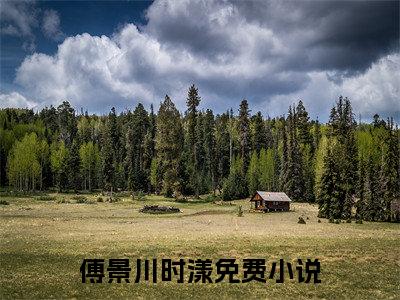 傅景川时漾小说（傅景川时漾）全文免费阅读结局-傅景川时漾全文完结版阅读