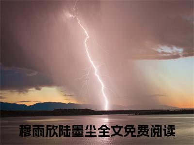 穆雨欣陆墨尘全文免费阅读无弹窗（穆雨欣陆墨尘）小说-穆雨欣陆墨尘小说免费阅读