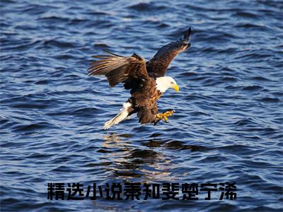 私藏读物《秦知斐楚宁浠》小说全文免费阅读-微小说（秦知斐楚宁浠）完整版阅读