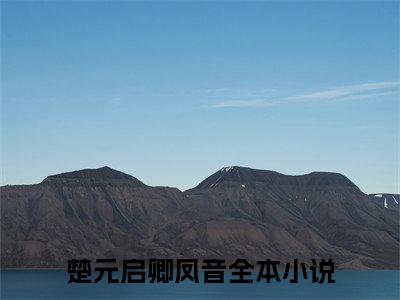 楚元启卿凤音（楚元启卿凤音）免费阅读无弹窗大结局-楚元启卿凤音免费阅读大结局最新章节列表_笔趣阁