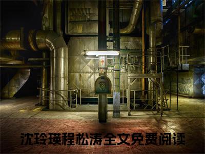 这一世，我们放过彼此吧最新章节（沈玲瑛程松涛）全文免费阅读无弹窗大结局_沈玲瑛程松涛小说全文免费阅读正版无弹窗_笔趣阁（这一世，我们放过彼此吧）