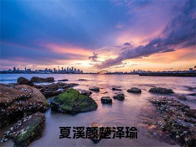 夏溪颜楚泽瑜（夏溪颜楚泽瑜）全文免费阅读无弹窗大结局_（夏溪颜楚泽瑜）夏溪颜楚泽瑜最新章节列表_笔趣阁（夏溪颜楚泽瑜）