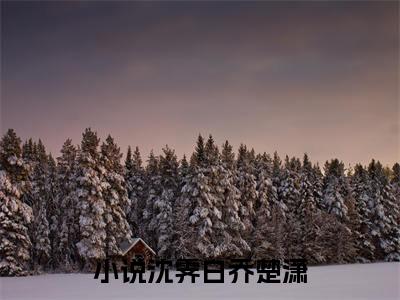 沈霁白乔楚潇无广告小说（沈霁白乔楚潇）全文免费阅读无弹窗大结局-沈霁白乔楚潇在线阅读