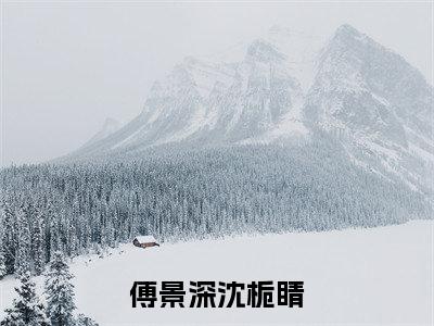 傅景深沈栀睛全文免费阅读（傅景深沈栀睛小说）全文免费阅读无弹窗大结局_（傅景深沈栀睛全文免费阅读无弹窗）傅景深沈栀睛小说最新章节列表_笔趣阁（傅景深沈栀睛）