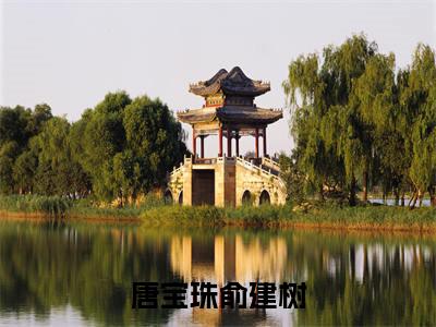 唐宝珠俞建树全文热榜小说已完结-热门小说已更新唐宝珠俞建树