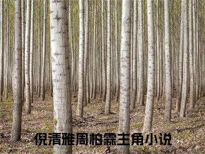 倪清雅周柏霖（倪清雅周柏霖）全文小说-（倪清雅周柏霖）小说最新章节免费阅读