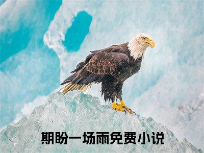 （期盼一场雨）全文免费阅读无弹窗大结局_周霁禾郁谨南免费小说最新章节列表笔趣阁（期盼一场雨）