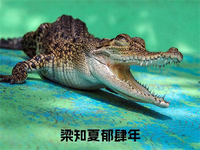 梁知夏郁肆年（梁知夏郁肆年）全文免费阅读无弹窗大结局_（梁知夏郁肆年）已完结全集大结局小说