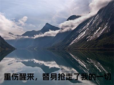 重伤醒来，替身抢走了我的一切（玄迟沈云夭）全文免费阅读无弹窗大结局_重伤醒来，替身抢走了我的一切（玄迟沈云夭）全文阅读_笔趣阁