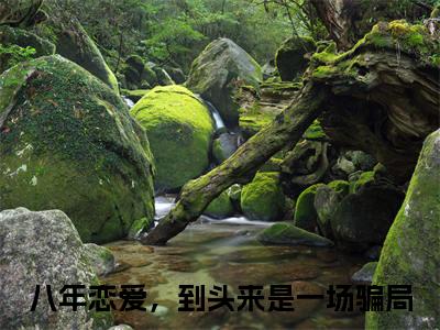 八年恋爱，到头来是一场骗局全文免费阅读大结局-霍铭冶江素孜最新章节阅读