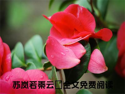 苏岚若秦云璟小说全文免费阅读，苏岚若秦云璟完整版