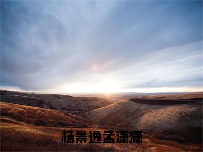 杨景逸孟潇潇最新章节阅读 总裁今天求复合了吗免费大结局无弹窗