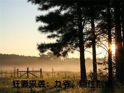 何以安傅聿城（狂妻来袭：九爷，稳住别慌）全文免费阅读_何以安傅聿城（狂妻来袭：九爷，稳住别慌）最新章节列表笔趣阁