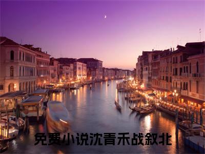 抖音沈青禾战叙北小说阅读完结版-小说沈青禾战叙北全文免费阅读