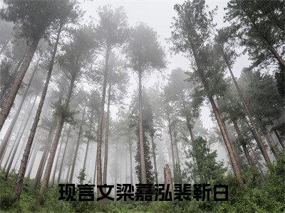 2023热点小说梁嘉泓裴靳白，梁嘉泓裴靳白免费章节阅读