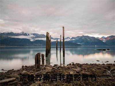 多人追的小说沈晚柠秦言非 沈晚柠秦言非大结局免费阅读